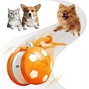 RuiDay Balle Interactive pour Chien, Balle roulante Automatique avec Laisse, Jouets pour Chiens, Rechargeable, pour Chiots, Petits, Moyens Chiens (Orange) (JIANyuc, neuf)