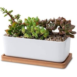 LATRAT Set rectangle blanc céramique pot pour plantes succulentes et cactus avec dessous de verre en bambou - décoratif petit pot de fleurs (LATRAT Direct, neuf)