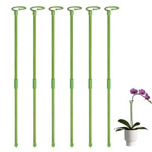 Fulenyi Monstera 6 tuteurs pour plantes d'intérieur - 80 cm - Support rond pour plantes hautes et fleurs - Tuteurs pour orchidées, amaryllis, pivoines, poivrons, etc (amste, neuf)