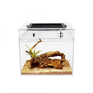 Reptile Growth PC Terrarium Reptile, 8" x 8"x 7" PC terrariums avec Vue complète visuellement Attrayante, Vivarium pour Léopard Gecko Barbu Dragon Lézard Escargot Tarentule Serpent Tortue (Reptile Growth Co., Ltd, neuf)