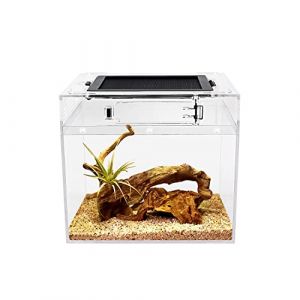 Reptile Growth PC Terrarium Reptile, 8" x 8"x 8" PC terrariums avec Vue complète visuellement Attrayante, Vivarium pour Léopard Gecko Barbu Dragon Lézard Escargot Tarentule Serpent Tortue (Reptile Growth Co., Ltd, neuf)