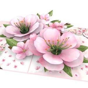 MOKIO® Carte Fleur Pop-Up – Fleurs de Cerisier Japonais – Carte cadeau 3D pour un anniversaire ou comme bon cadeau, Sakura Arbre Carte de vœux (MOKIO, neuf)