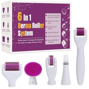 Derma Roller, 6 En 1 Derma Roller 0.5/1/1.5/2mm, Micro Aiguilles Rouleau, Dermaroller Appareil Anti-rides Anti-&acirc;ge, Retrait de Cicatrice Acne Vergetures, pour Visage Corps Yeux (Giki shop, neuf)