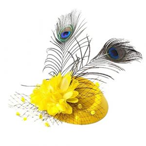 Watreketal Serre Tete,Chapeau bibi vintage en maille à plumes de paon pour costume de mariage de fête de thé, chapeau de pilulier polyvalent, couvre-chef de mariage (Xuanlang Trading, neuf)
