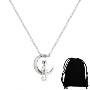 EAVUYIS Collier Pour Femme Collier Chat Argent 925, Collier en argent sterling, Collier Chat Femme Collier Femmes Bijoux pour Les Femmes Filles, Lune Pendentif Collier Bijoux pour Femmes (LI ZHONGCHEN OUZHOUDIAN, neuf)