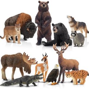 TOYMANY 12PCS figurines d'animaux Safari jeux figurines jouets, Figurines d'animaux de la for&ecirc;t nord - am&eacute;ricaine continue raton lavour, lynx, loup, notre, aigle plastique Zoo Jungle animaux figurines (TOYMANY, neuf)