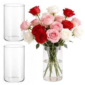 LDXDRU Lot de 3 vases en verre transparent 15 cm - Photophore et vase &agrave; fleurs en verre transparent - Fond pour bougies, fleurs, galets, coquillages (Huanyi_shop, neuf)