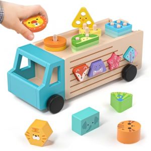 Lehoo Castle Montessori Jeux en Bois 2 3 4 Ans, Puzzles à Trier Les Formes Jouets à empiler et de Tri Cube d'activité Jouets d'activité et Développement, Cadeau pour Bébé Enfant (KWANITHINK EU, neuf)