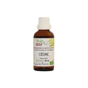 Phytofrance - Cèdre du Liban Bio Phyto'gem de jeunes pousses - 40ml