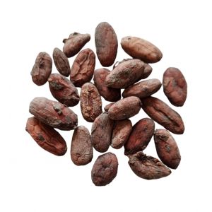 Fructivia - F&egrave;ves de cacao non torr&eacute;fi&eacute;es Criollo Bio 5Kg