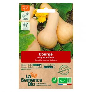 La Semence Bio - Graines de courge musquée butternut bio