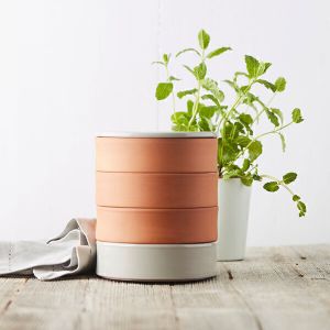 Point Virgule - Germoir &agrave; 3 &eacute;tages en terre cuite et r&eacute;servoir d'eau