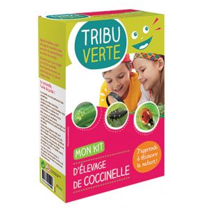 Décamp' - Mon kit : élevage de coccinelles