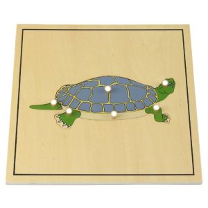 Ambiance Montessori - Puzzle de la tortue avec squelette