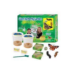 Insectlore - Kit d'élevage de papillons Géant - Bon pour chenilles