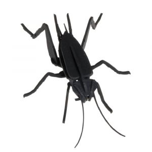 Fridolin - Maquette 3D en papier Cricket