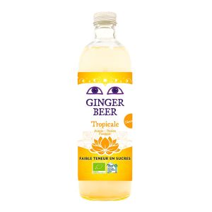Karma - Ginger beer ananas passion 35cl