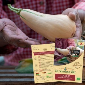 La Semence Bio - Graines de courge musquée Mini butternut bio