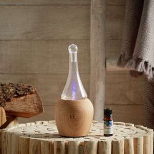 Laboratoires Maurice Messegue - Diffuseur nébuliseur fjord - nébulisation
