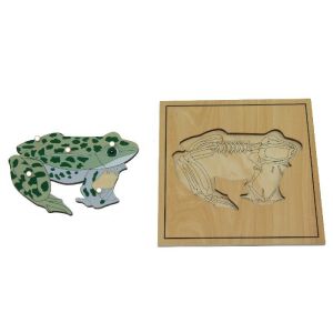 Ambiance Montessori - Puzzle de la grenouille avec squelette