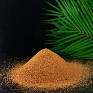Fruitstropicaux - Sucre de Canne Rapadura en Poudre 1 KG