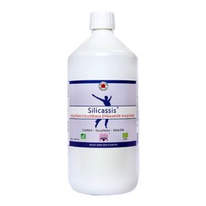 Vecteur Energy - SILICASSIS Solution collo&iuml;dale dynamis&eacute;e et spagyris&eacute;e 1 litre