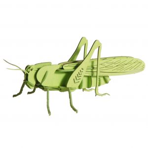 Fridolin - Maquette 3D en papier Sauterelle