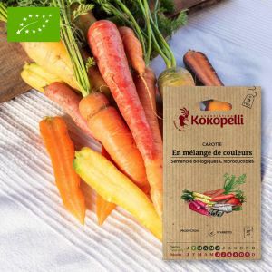 Association Kokopelli - Graines bio à semer - Carotte en mélange de couleurs
