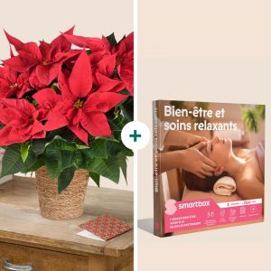 Poinsettia et son coffret Bien-&ecirc;tre - Interflora - Livraison de fleurs