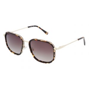 Lunettes de soleil LEVEL LE S2532 ECDO 54/17
