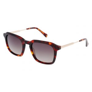 Lunettes de soleil LEVEL LE S2530 ECAI 51/21