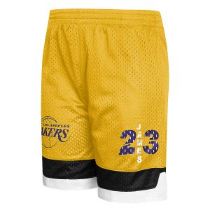 short de basketball homme los angeles lakers james