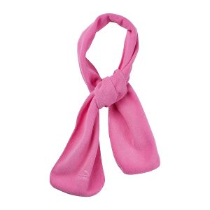 &eacute;charpe gar&ccedil;on ganchorage