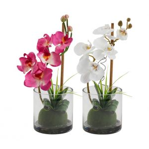 Vase ORCHIDEE COMPO Blanc/Violet