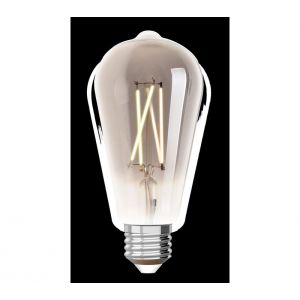 Ampoule LED Edison ST64 E27 iDual Silver