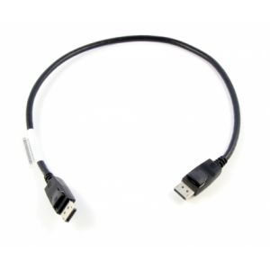 Lenovo 0.5m DisplayPort 0,5 m Noir - Neuf