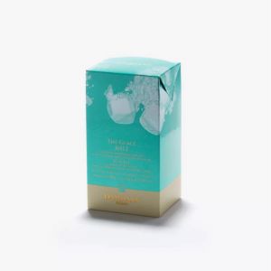 Th&eacute; glac&eacute; Bali en sachets, Dammann Fr&egrave;res - DAMMANN FRERES