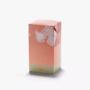 Th&eacute; glac&eacute; P&ecirc;che en sachets, Dammann Fr&egrave;res - DAMMANN FRERES