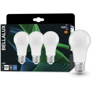 Ampoule LED - HOME FIT TRAINING - E27 - Blanc froid 4000K - 1521 Lumen - Remplacement 100W