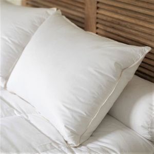 Oreiller bio et &eacute;cologique Castex - 90% duvet - 50x70cm