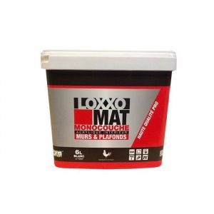 Peinture LOXXO Blanc Mat Monocouche 6 L