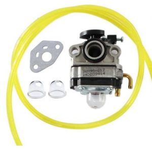 Carburateur et Joint Pour Honda FG100 GX22 GX25 GX31 GX35 4 temps # 16100-ZM5-803 Walbro WYL-19 WYL-19-1