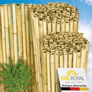 Sol Royal Premium Canisse Brise Vue Bambou Clair Brillant 100x250 cm – 1m hauteur Pare Vue Terrasse Extérieur– B99