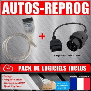 BMW INPA + OBD20 PINS OBD2 INTERFACE PROGRAMMATION + PACK 5GO LOGICIELS