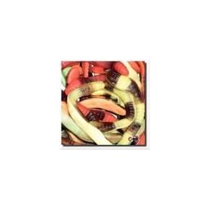 VIDAL Serpents géants x 2 kg