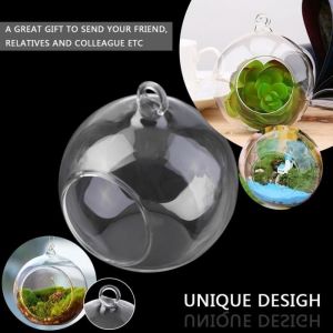 Lot de 6 Vase Suspendu de Verre Boule Pour Fleur Décoration Pots à suspendre Air Plante Terrariums de Jardin Maison Mariage