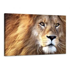 Tableau déco lion - Décoration murale - 90x60cm - Impression haute résolution sur toile tendue sur un cadre en bois