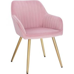 Chaise de Salle à Manger avec Dossier et Accoudoir, Chaise de Cuisine en Velours, Fauteuil Scandinave, Rose 1024BY-1