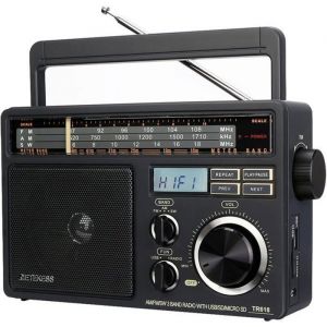 Retekess TR618 Poste Radio Portable Radio Pile et Secteur Transisitor FM AM SW Lecteur MP3 USB SD TF Prise de Casque(Gris