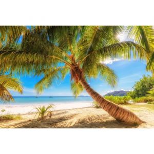 Papier Peint Photo INTISS&Eacute;-(205274)-PALMIER COURB&Eacute;-300x223cm-6 l&eacute;s-Mural Poster G&eacute;ant XXL-For&ecirc;t-Nature-Ocean-Animaux-Paysage-Plage-S